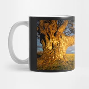 Wood and Stone#1 Mug